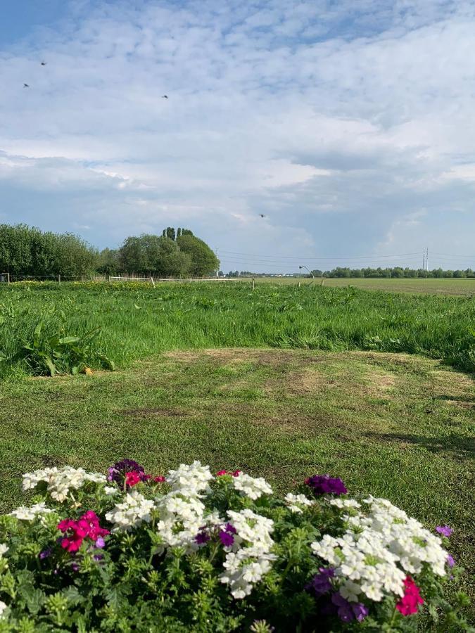 Fields 1216 Bed & Breakfast Zwaanshoek Exterior foto